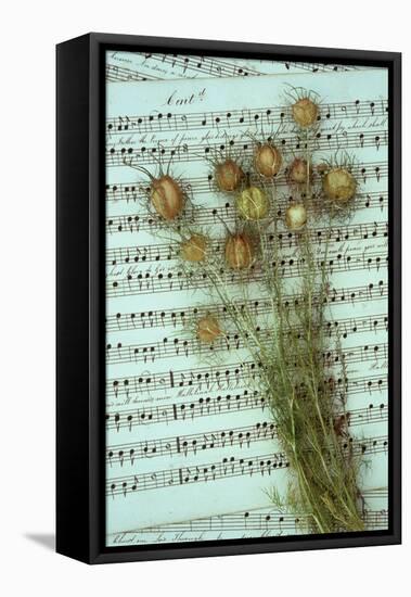 Seed Heads-Den Reader-Framed Premier Image Canvas