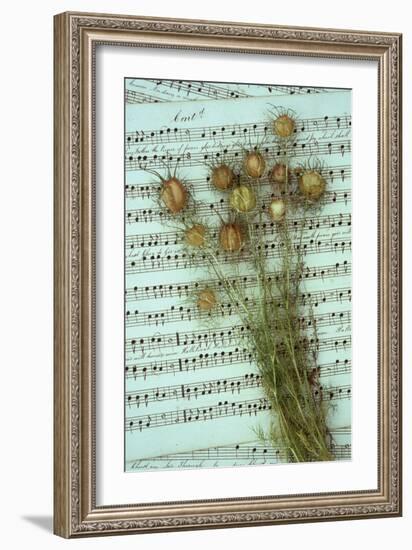 Seed Heads-Den Reader-Framed Photographic Print