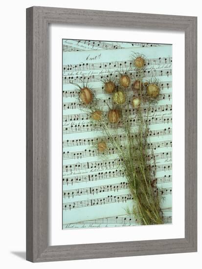 Seed Heads-Den Reader-Framed Photographic Print