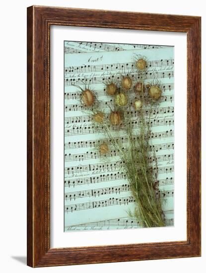 Seed Heads-Den Reader-Framed Photographic Print