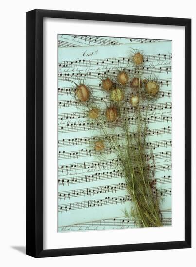 Seed Heads-Den Reader-Framed Photographic Print