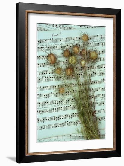 Seed Heads-Den Reader-Framed Photographic Print