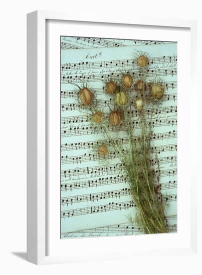 Seed Heads-Den Reader-Framed Photographic Print