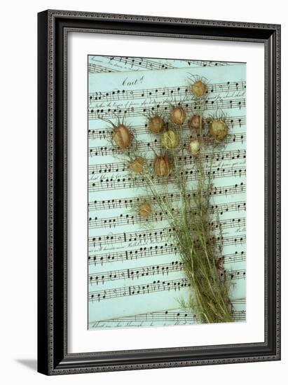 Seed Heads-Den Reader-Framed Photographic Print