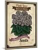 Seed Packet - Begonia-The Saturday Evening Post-Mounted Giclee Print