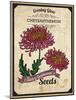 Seed Packet - Chrysanthemum-The Saturday Evening Post-Mounted Giclee Print