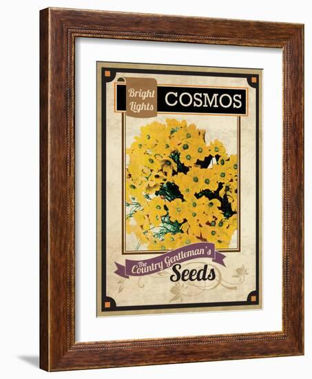 Seed Packet - Cosmos-The Saturday Evening Post-Framed Giclee Print