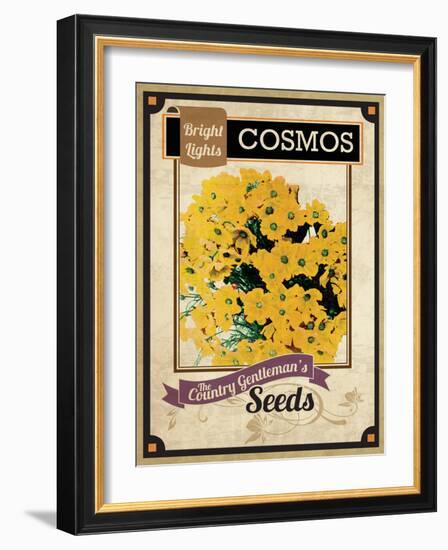Seed Packet - Cosmos-The Saturday Evening Post-Framed Giclee Print