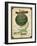 Seed Packet - Melon-The Saturday Evening Post-Framed Giclee Print