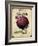 Seed Packet - Onion-The Saturday Evening Post-Framed Giclee Print