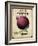 Seed Packet - Onion-The Saturday Evening Post-Framed Giclee Print