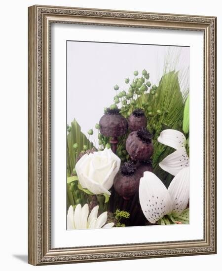 Seed Pod Bouquet, 1999-Norman Hollands-Framed Photographic Print