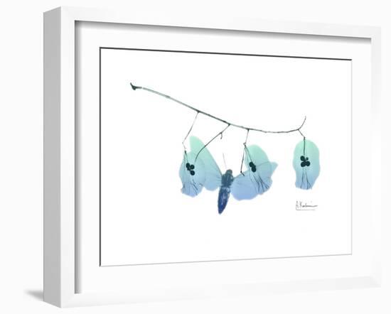 Seed Pods L244-Albert Koetsier-Framed Art Print