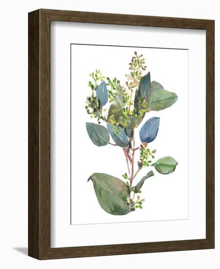 Seeded Eucalyptus I-Melissa Wang-Framed Premium Giclee Print