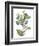 Seeded Eucalyptus I-Melissa Wang-Framed Premium Giclee Print