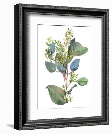 Seeded Eucalyptus I-Melissa Wang-Framed Premium Giclee Print