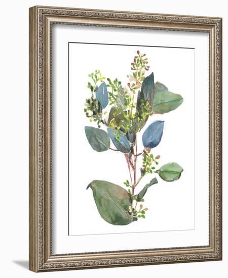 Seeded Eucalyptus I-Melissa Wang-Framed Art Print