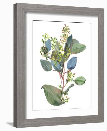 Seeded Eucalyptus I-Melissa Wang-Framed Art Print