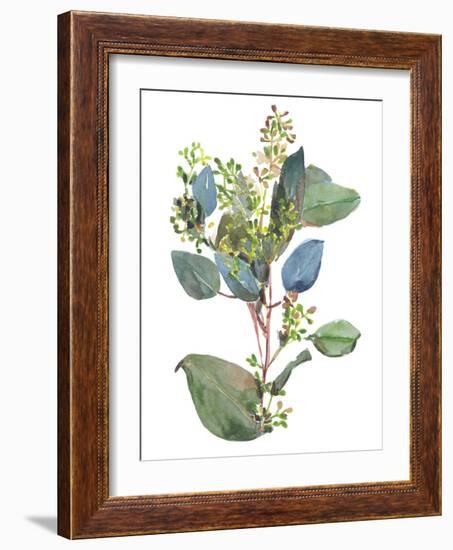 Seeded Eucalyptus I-Melissa Wang-Framed Art Print