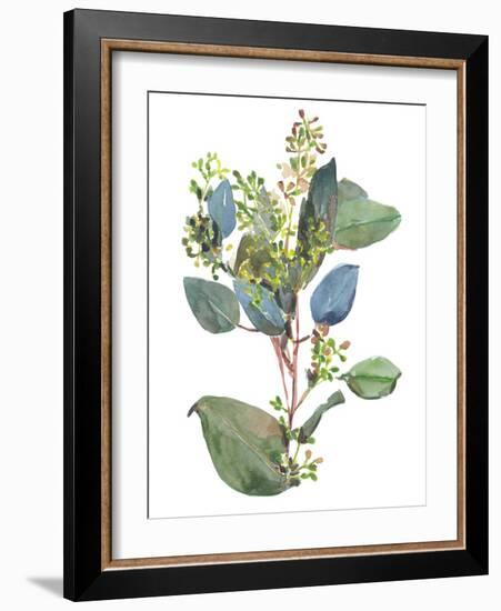 Seeded Eucalyptus I-Melissa Wang-Framed Art Print