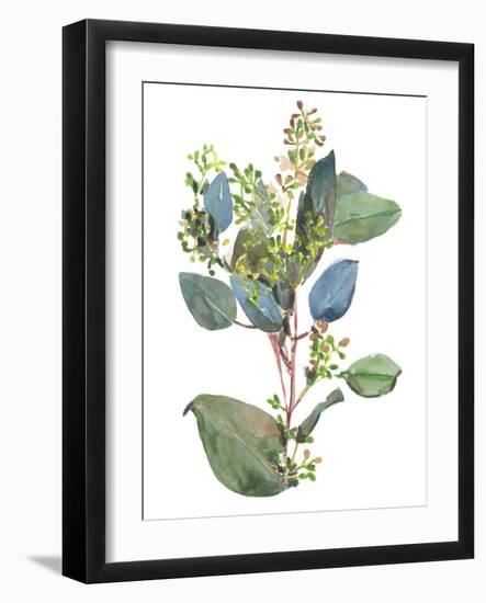 Seeded Eucalyptus I-Melissa Wang-Framed Art Print