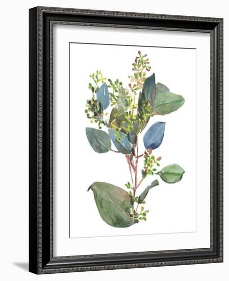 Seeded Eucalyptus I-Melissa Wang-Framed Art Print