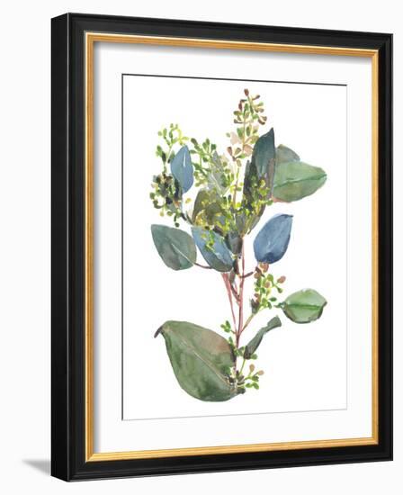 Seeded Eucalyptus I-Melissa Wang-Framed Art Print