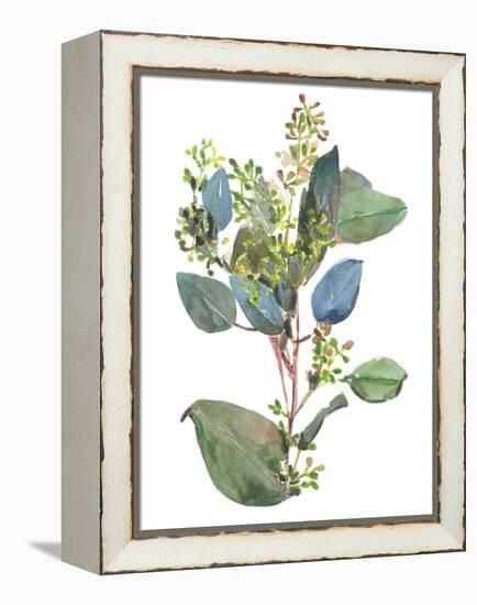 Seeded Eucalyptus I-Melissa Wang-Framed Stretched Canvas