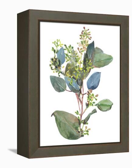 Seeded Eucalyptus I-Melissa Wang-Framed Stretched Canvas