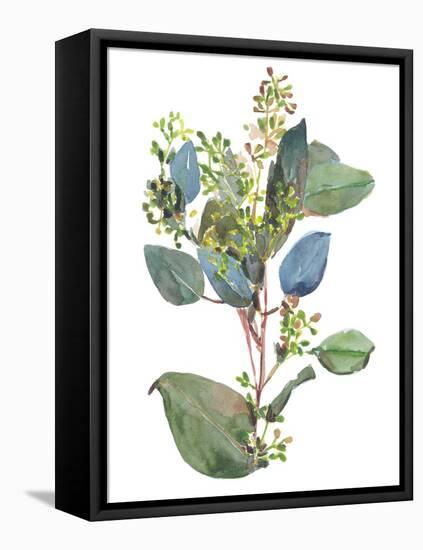 Seeded Eucalyptus I-Melissa Wang-Framed Stretched Canvas