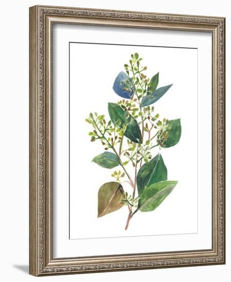 Seeded Eucalyptus II-Melissa Wang-Framed Art Print