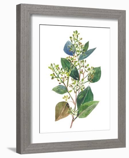 Seeded Eucalyptus II-Melissa Wang-Framed Art Print