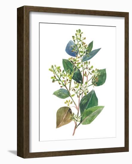 Seeded Eucalyptus II-Melissa Wang-Framed Art Print
