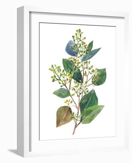 Seeded Eucalyptus II-Melissa Wang-Framed Art Print