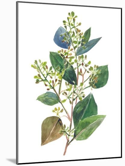 Seeded Eucalyptus II-Melissa Wang-Mounted Art Print