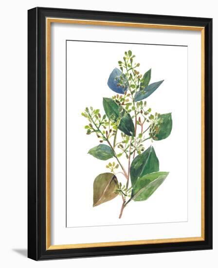 Seeded Eucalyptus II-Melissa Wang-Framed Art Print