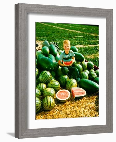 Seedless Watermelons at Purdue University-John Dominis-Framed Photographic Print