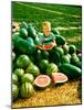 Seedless Watermelons at Purdue University-John Dominis-Mounted Photographic Print