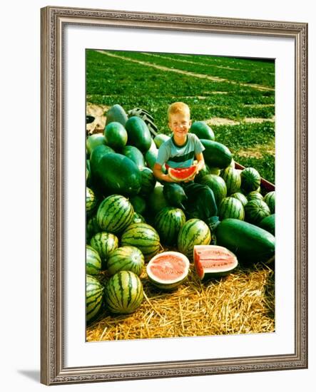 Seedless Watermelons at Purdue University-John Dominis-Framed Photographic Print