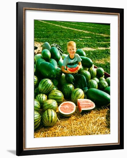 Seedless Watermelons at Purdue University-John Dominis-Framed Photographic Print