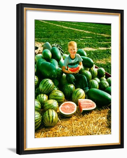 Seedless Watermelons at Purdue University-John Dominis-Framed Photographic Print