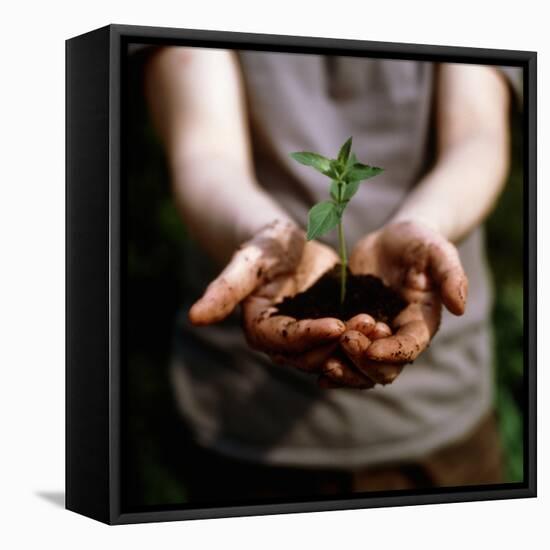 Seedling-Cristina-Framed Premier Image Canvas