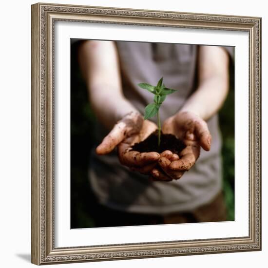 Seedling-Cristina-Framed Premium Photographic Print