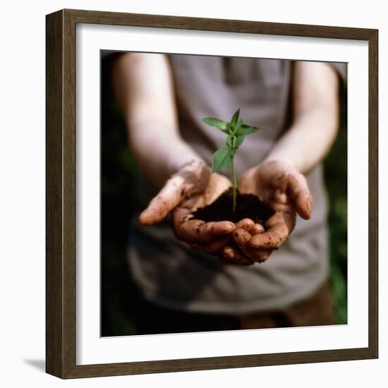 Seedling-Cristina-Framed Premium Photographic Print