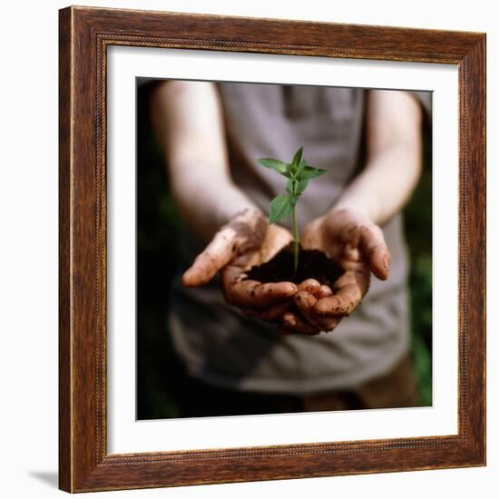 Seedling-Cristina-Framed Premium Photographic Print