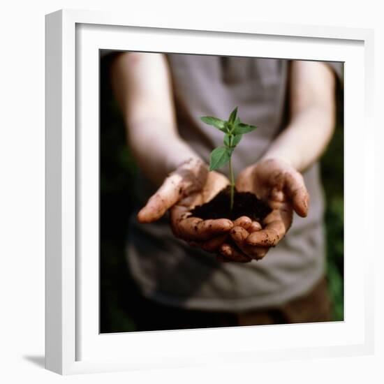 Seedling-Cristina-Framed Premium Photographic Print