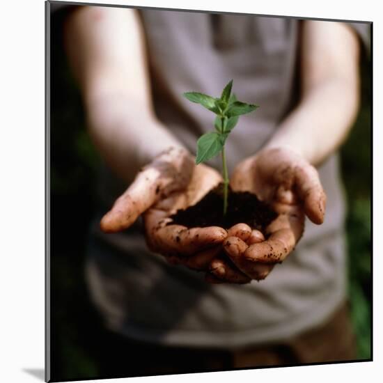 Seedling-Cristina-Mounted Premium Photographic Print