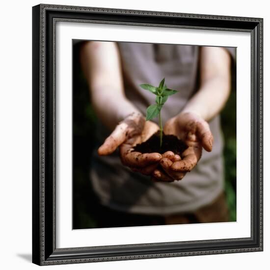 Seedling-Cristina-Framed Premium Photographic Print