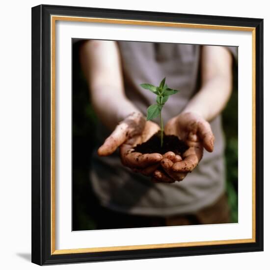 Seedling-Cristina-Framed Premium Photographic Print