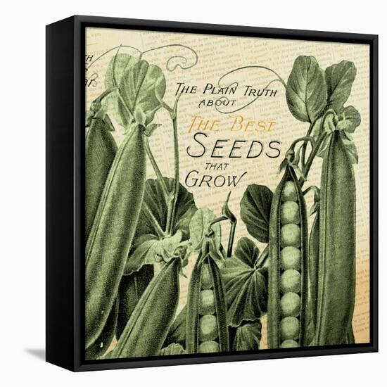 Seeds 1-null-Framed Premier Image Canvas